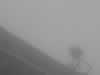 Golden Gate Bridge as we sailed under it in fog (3,207 bytes)